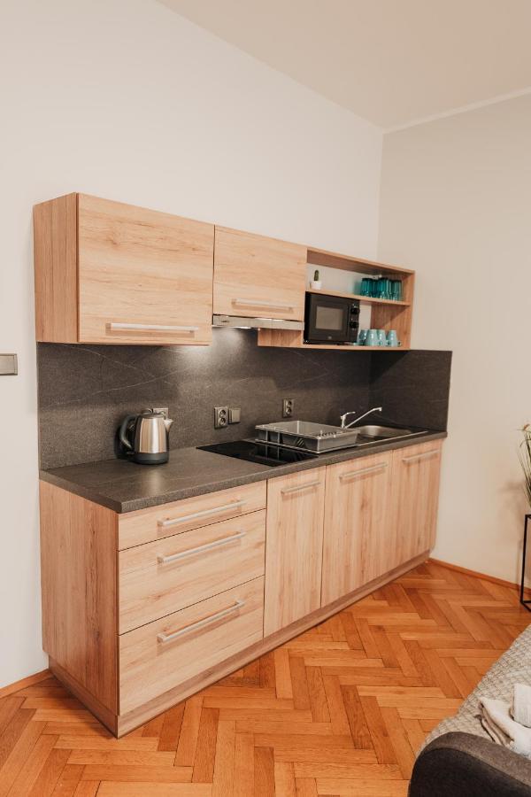 Elegant Studio, 400M From The Square Leilighet Plzeň Eksteriør bilde